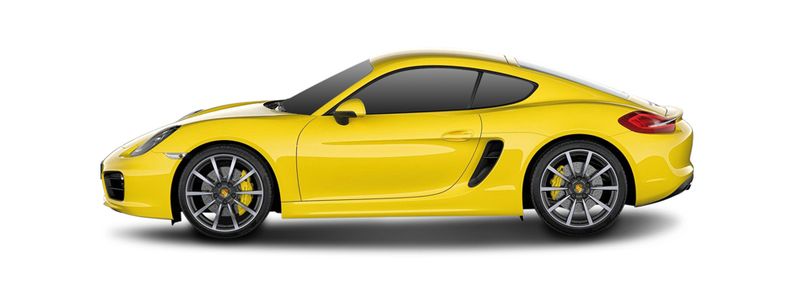 PORSCHE CAYMAN